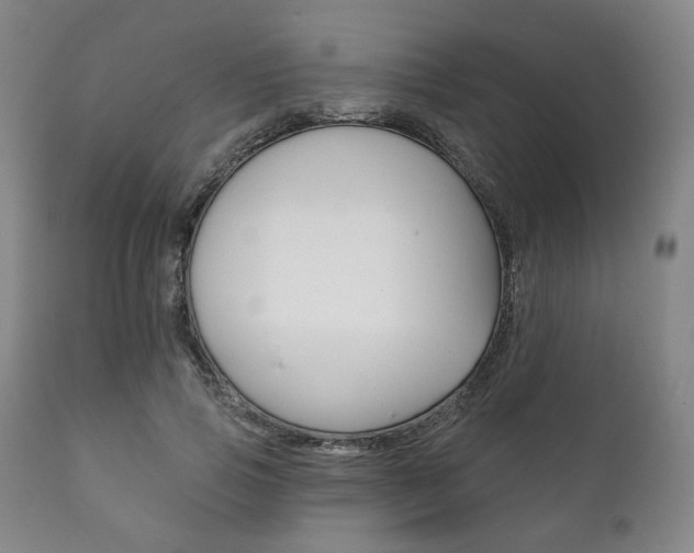 X0000111820741200907231024