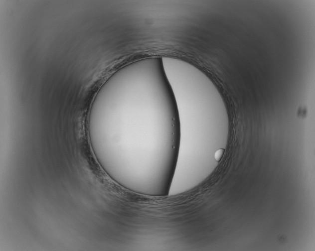 X0000111820743200907231024