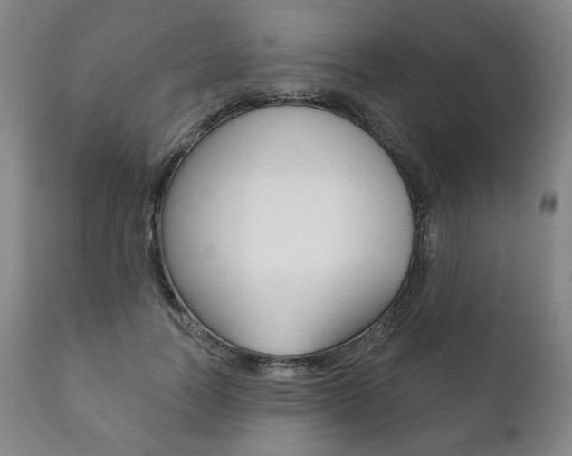 X0000111820746200907231024
