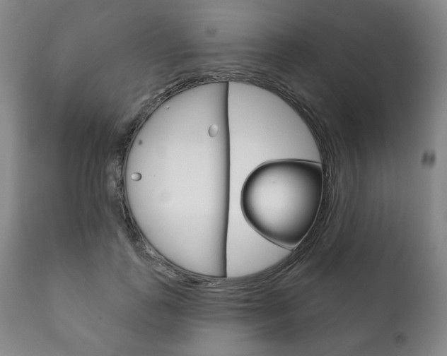 X0000111820747200907231024