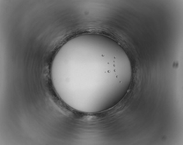X0000111820748200907231024