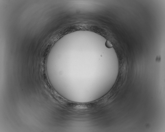 X0000111820749200907231024