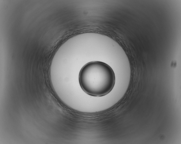 X0000111820750200907231024