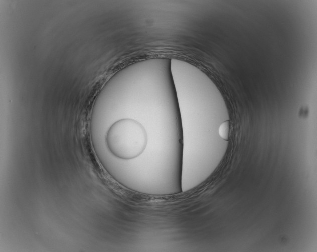 X0000111820751200907231024