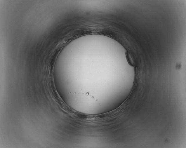 X0000111820752200907231024