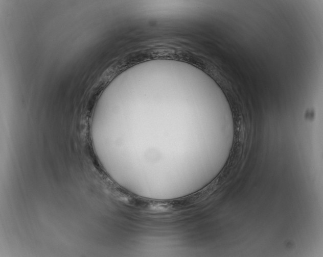 X0000111820753200907231024