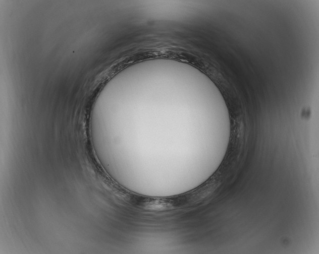 X0000111820754200907231024