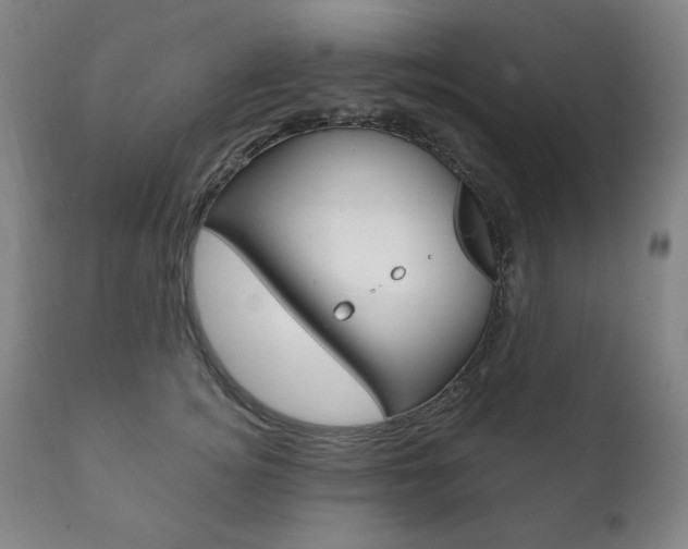X0000111820756200907231024