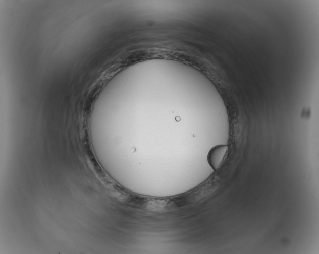 X0000111820757200907231024