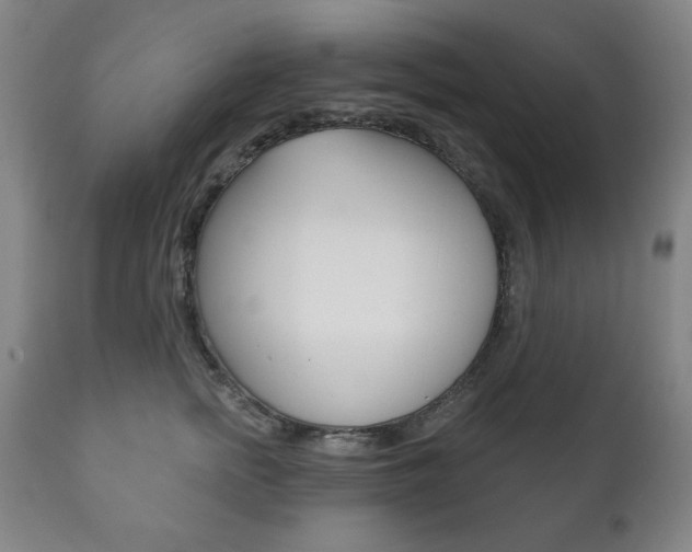 X0000111820758200907231024