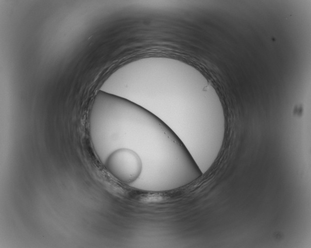 X0000111820759200907231024