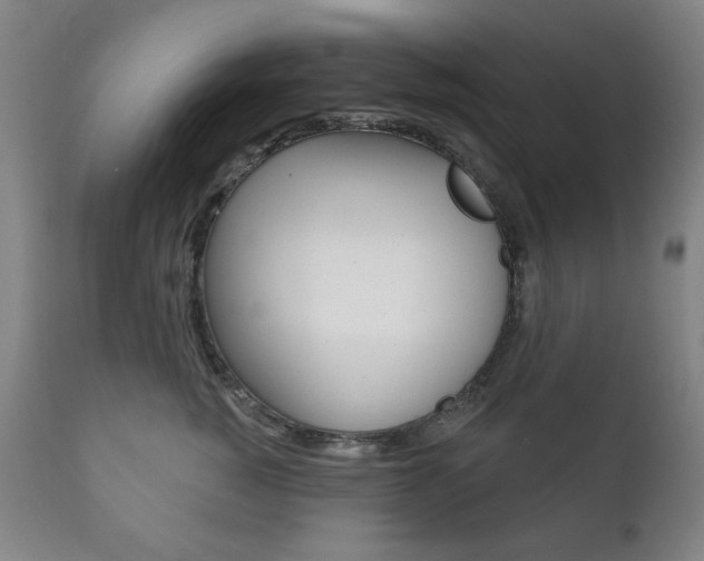 X0000111820760200907231024