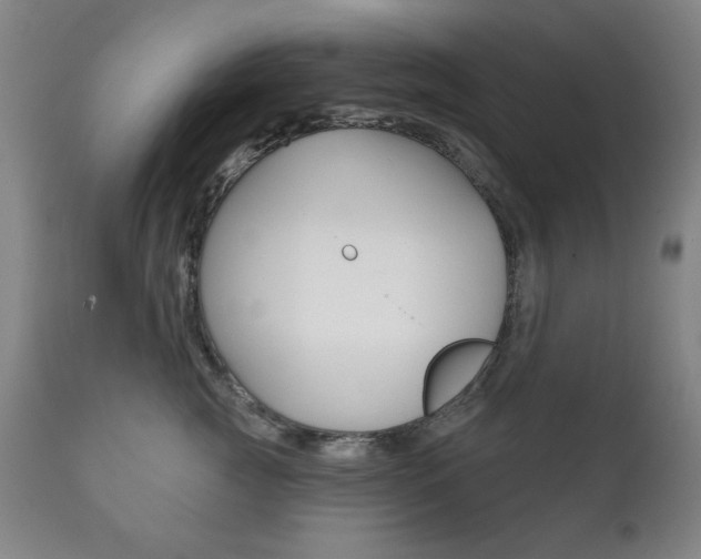 X0000111820761200907231024