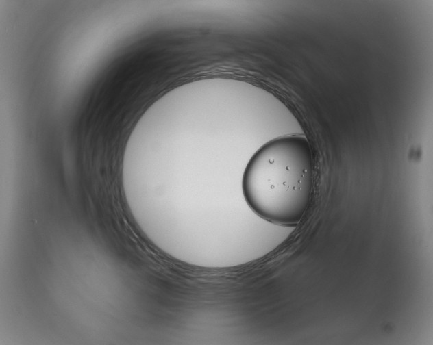 X0000111820762200907231024