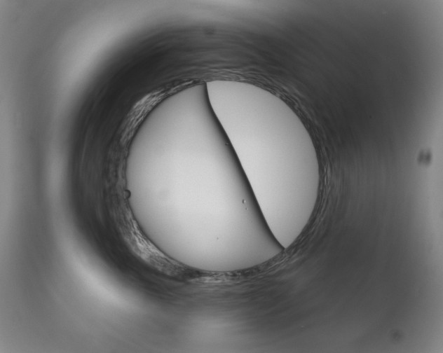 X0000111820763200907231024