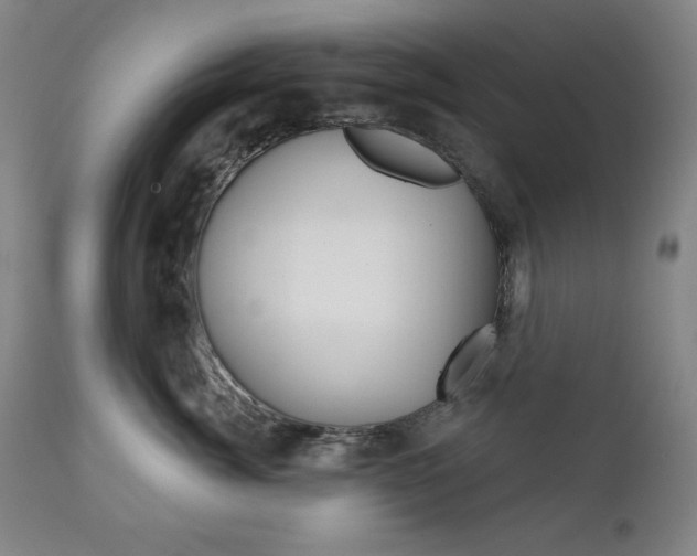 X0000111820764200907231024