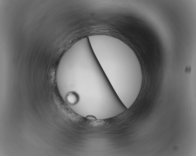 X0000111820767200907231024