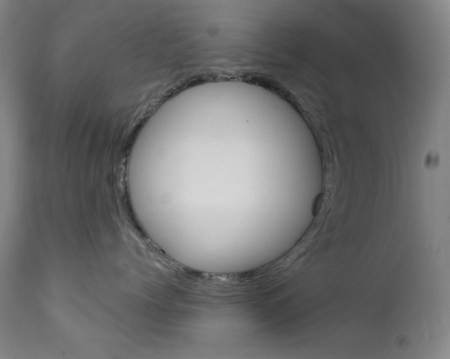 X0000111820768200907231024