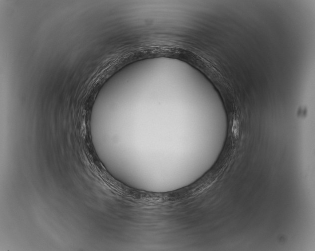 X0000111820771200907231023
