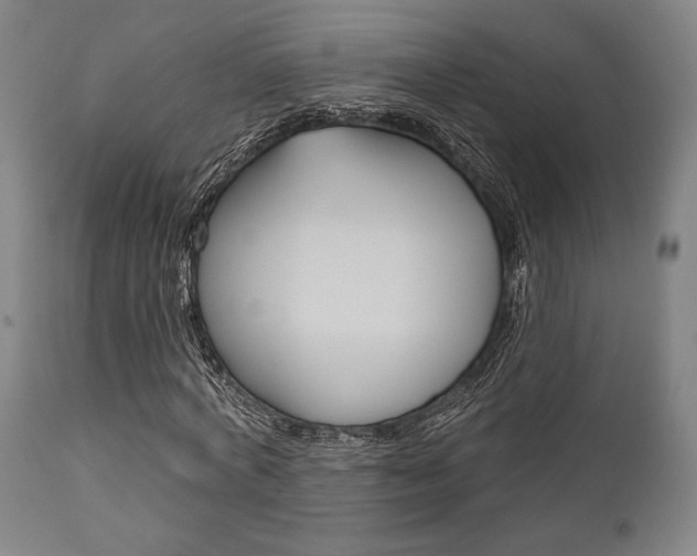 X0000111820772200907231023