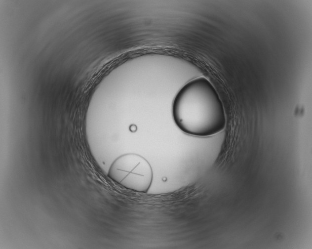 X0000111820773200907231023
