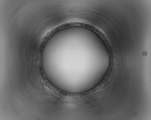 X0000111820775200907231023