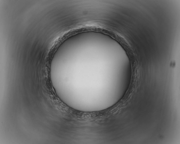 X0000111820776200907231023
