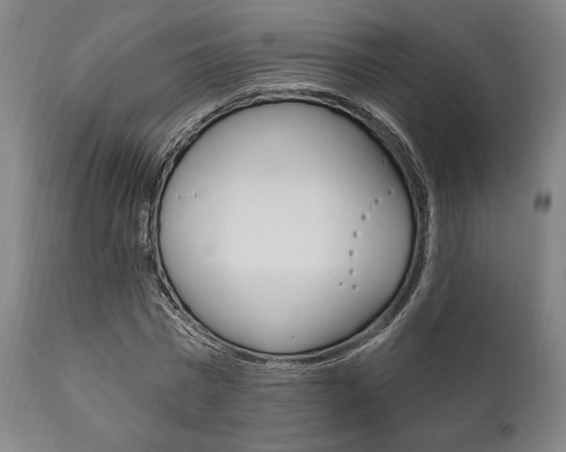 X0000111820777200907231023