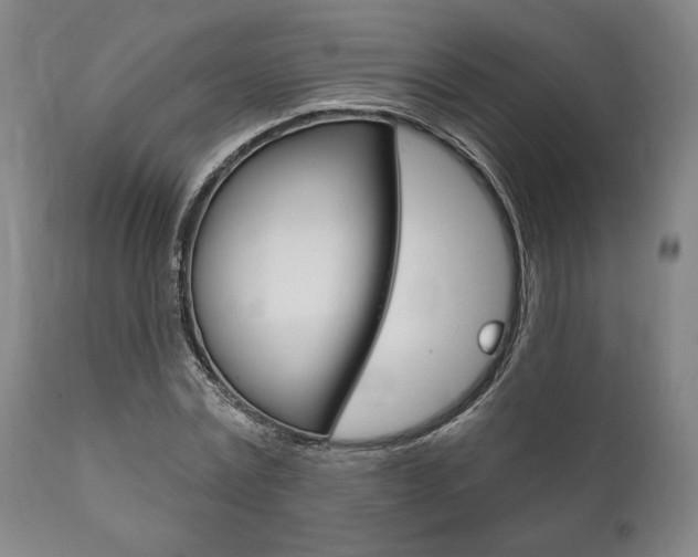 X0000111820779200907231023