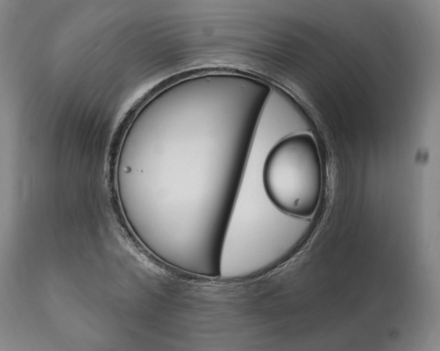 X0000111820780200907231023