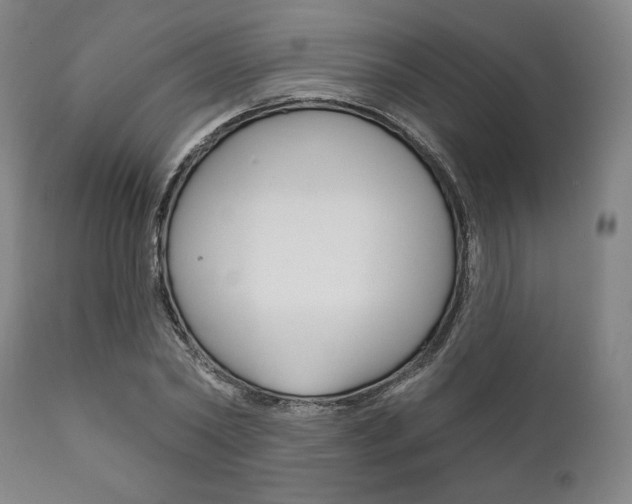 X0000111820782200907231023