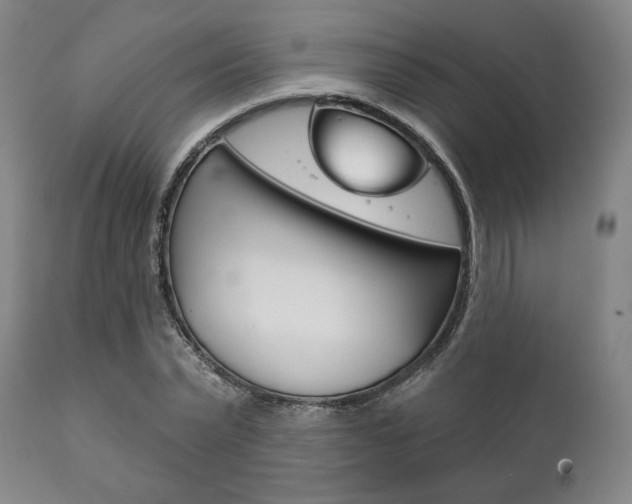 X0000111820783200907231023