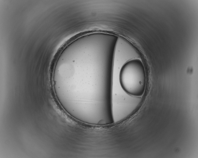 X0000111820784200907231023