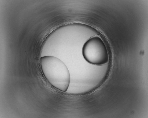 X0000111820785200907231023