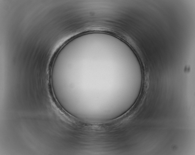 X0000111820787200907231023