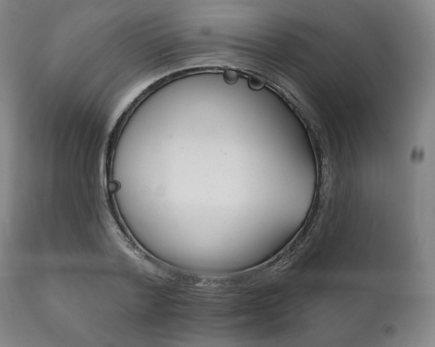 X0000111820788200907231023