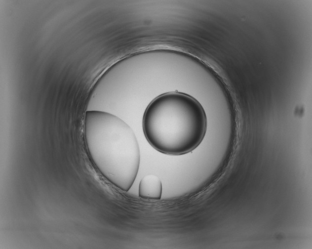 X0000111820793200907231023