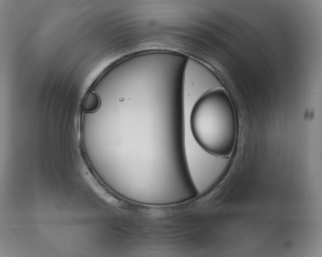 X0000111820796200907231023