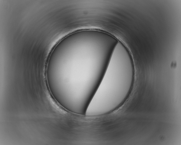 X0000111820797200907231023