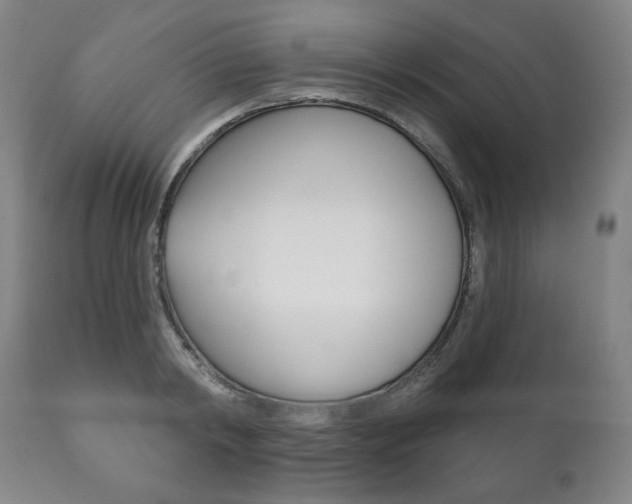X0000111820798200907231023