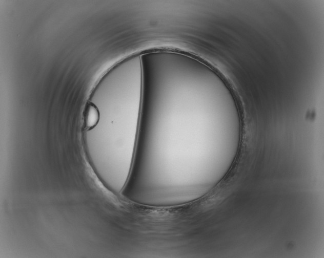 X0000111820799200907231023
