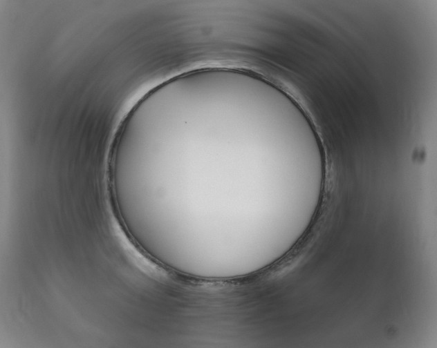 X0000111820803200907231023