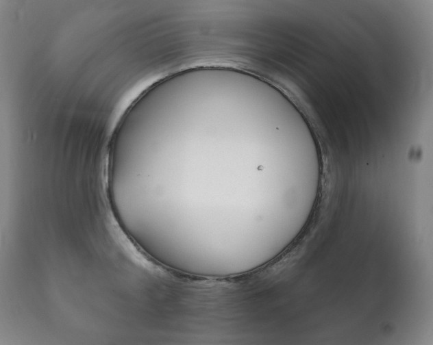 X0000111820804200907231023
