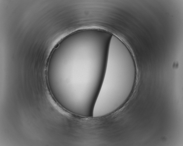 X0000111820805200907231023
