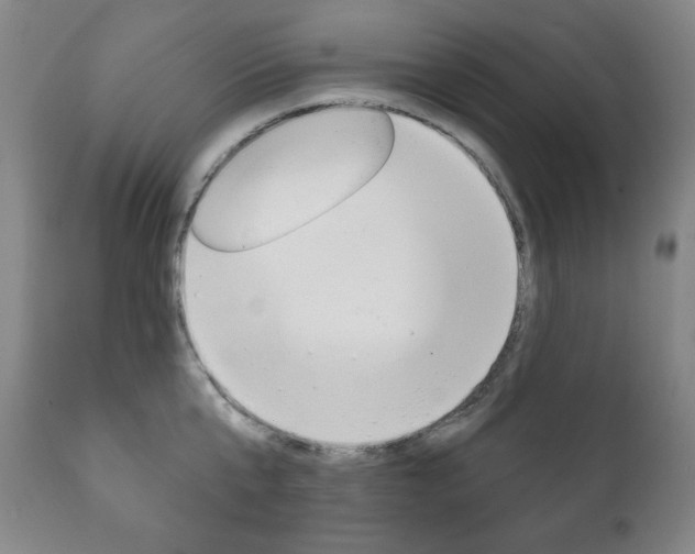 X0000111820807200907231023
