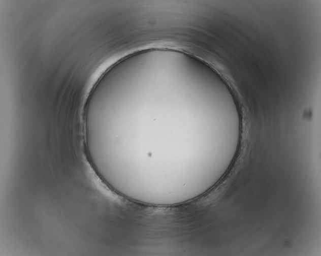 X0000111820808200907231023
