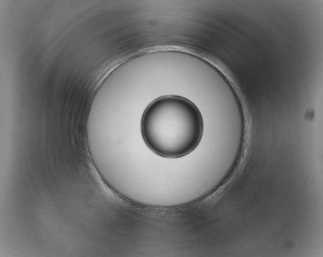 X0000111820809200907231023