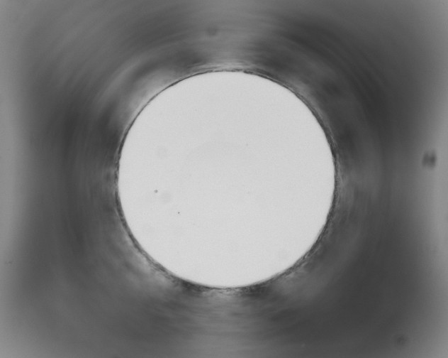 X0000111820810200907231023