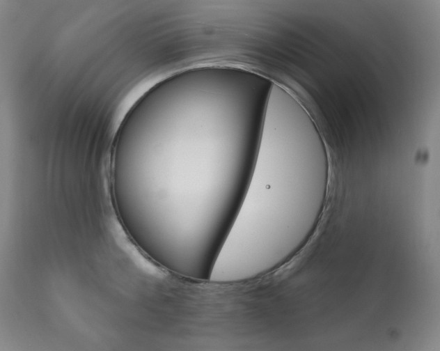 X0000111820812200907231023