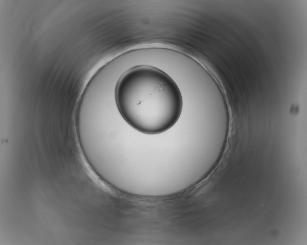 X0000111820813200907231023